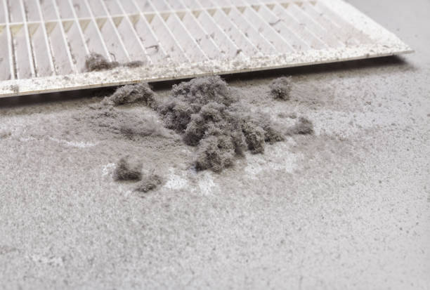 Best HVAC Duct Inspection Services  in Grayson, GA