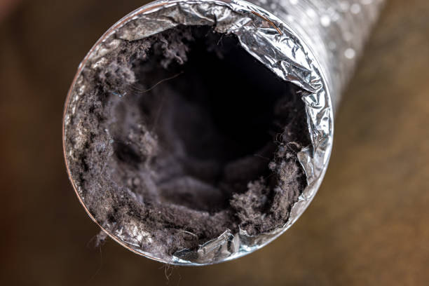Best Best Air Duct Cleaning Company  in Grayson, GA