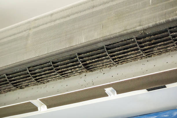 Best Home Air Vent Cleaning  in Grayson, GA
